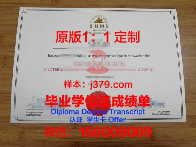 马赛经济管理学院diploma证书(马赛有什么大学)