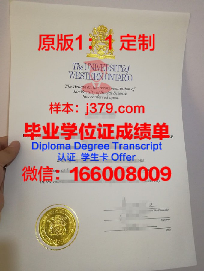 西安工业大学毕业证图片(西工大毕业证书)