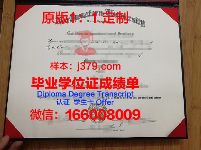 东北大学(日本)毕业证认证成绩单Diploma