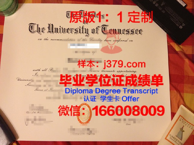 田纳西州立大学毕业证照片(田纳西州立大学美国排名)