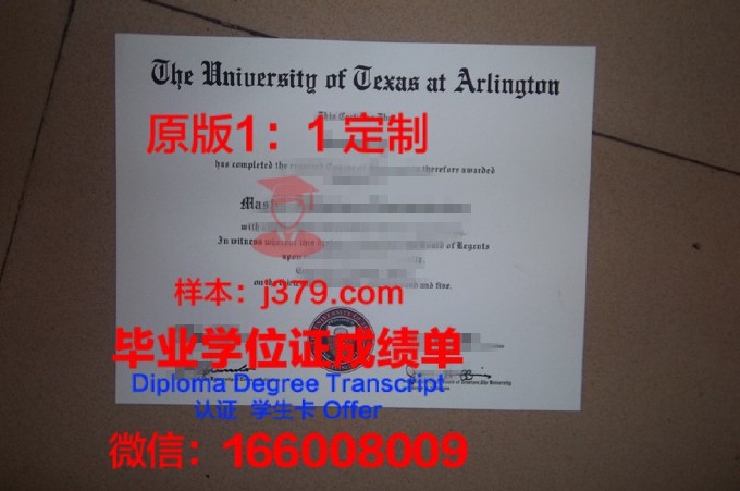 纽约州立大学布法罗分校diploma证书(纽约州立大学布法罗分校国内认可学历吗)
