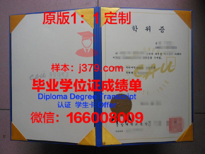 韩国中央大学毕业证书模板(韩国中央大学毕业找工作困难吗)