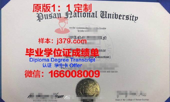 釜山外国语大学毕业证书(釜山外国语大学毕业证书图片)