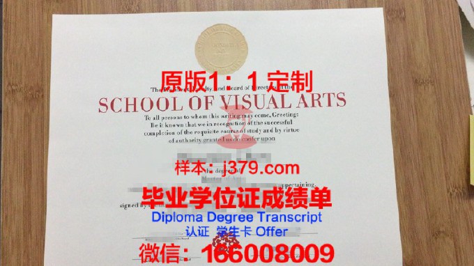 视觉传播学院学生证(视觉艺术学院logo)